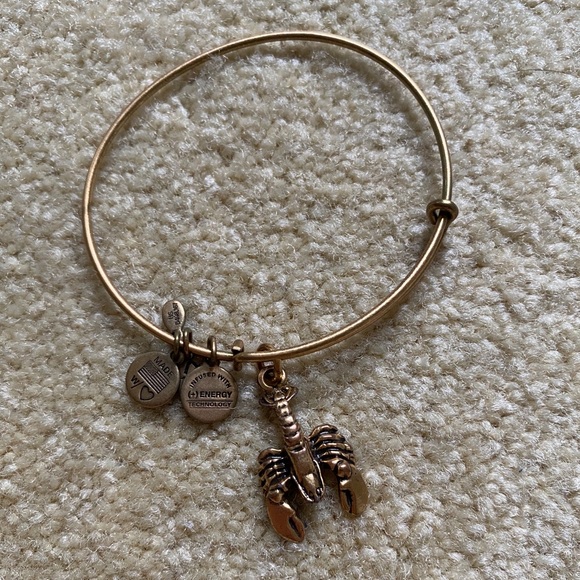 Alex and Ani Jewelry - Lobster Alex and ani bangle